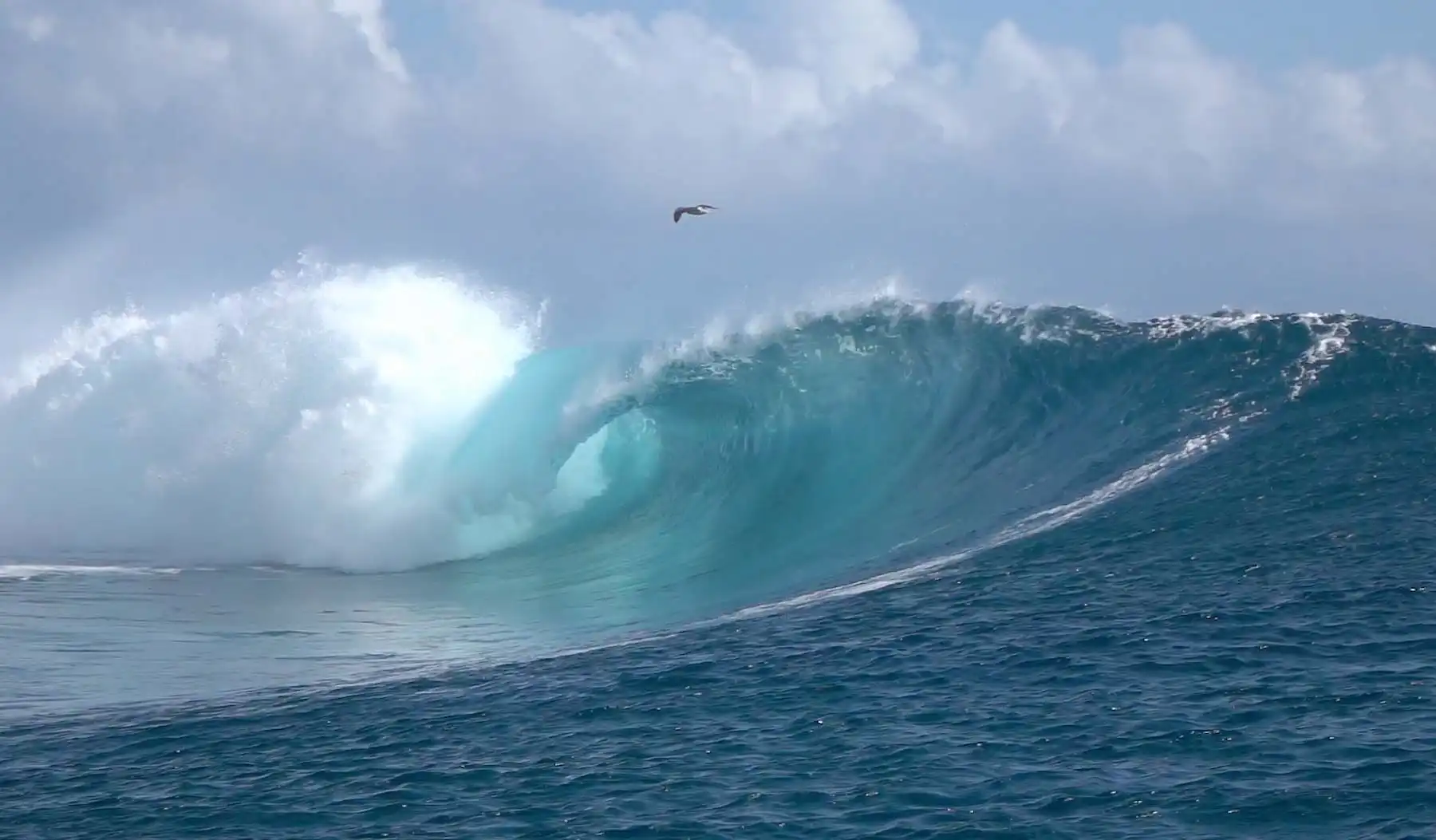 header-video.jpg