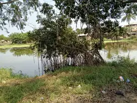 RESTAURATION FORETS.jpg